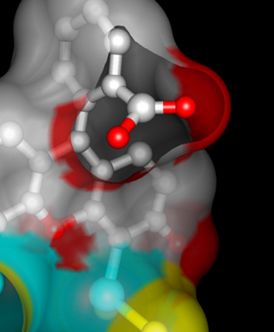 a computer-generated molecular diagram